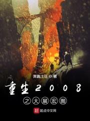 重生2008无弹窗