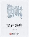 混在唐朝的理工宅男txt