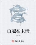 主角是白起后人