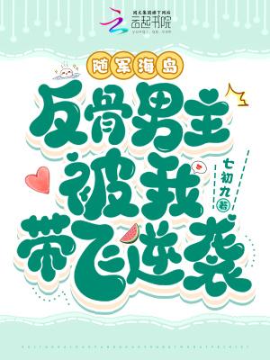 海岛随军的年代文