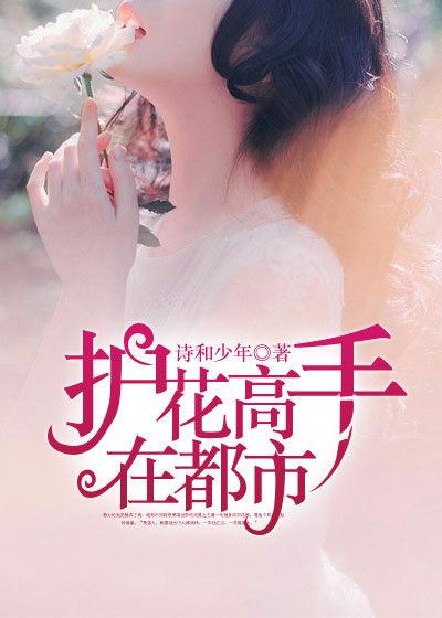 护花高手在都市夏天有多少个老婆