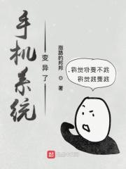 手机系统错乱了怎么办?